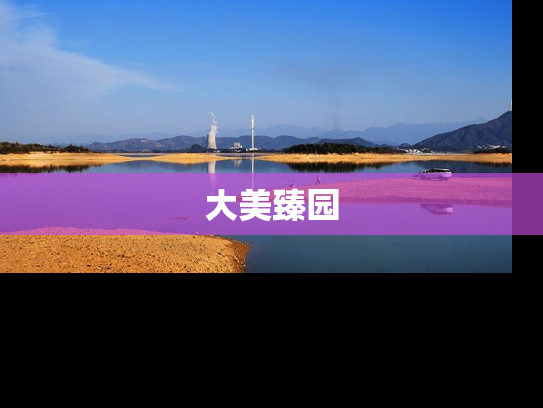 大美臻园