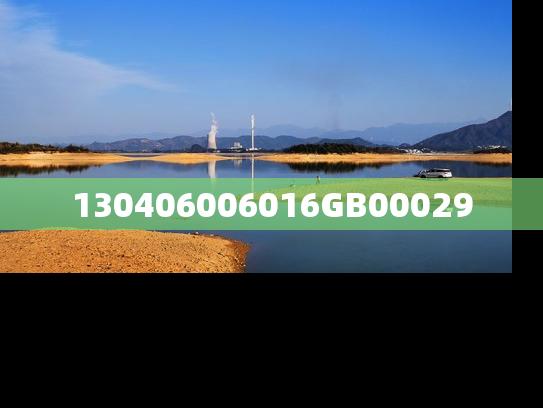 130406006016GB00029
