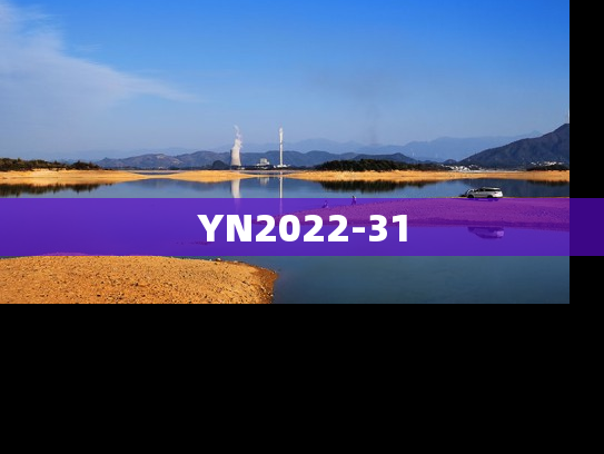YN2022-31