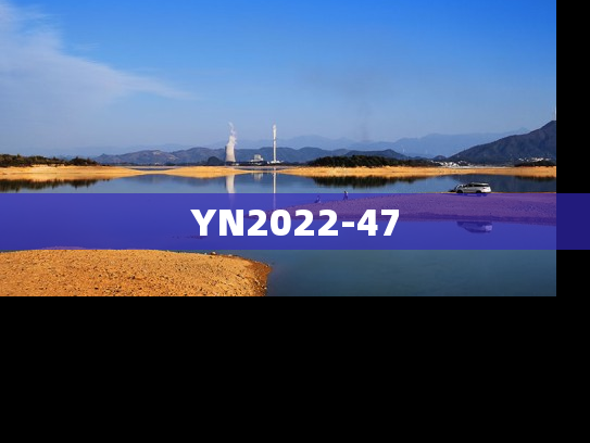 YN2022-47