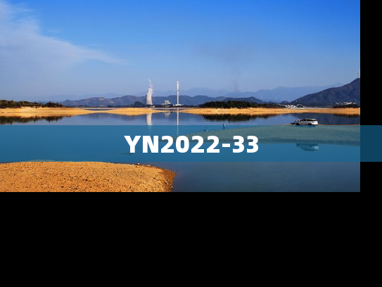 YN2022-33