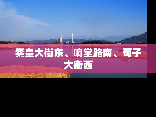 秦皇大街东、响堂路南、荀子大街西