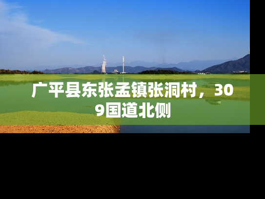 广平县东张孟镇张洞村，309国道北侧
