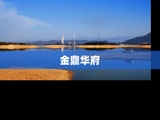 金鼎华府