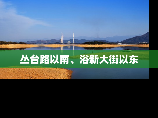 丛台路以南、浴新大街以东