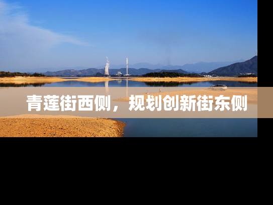 青莲街西侧，规划创新街东侧