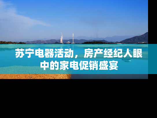 苏宁电器活动，房产经纪人眼中的家电促销盛宴