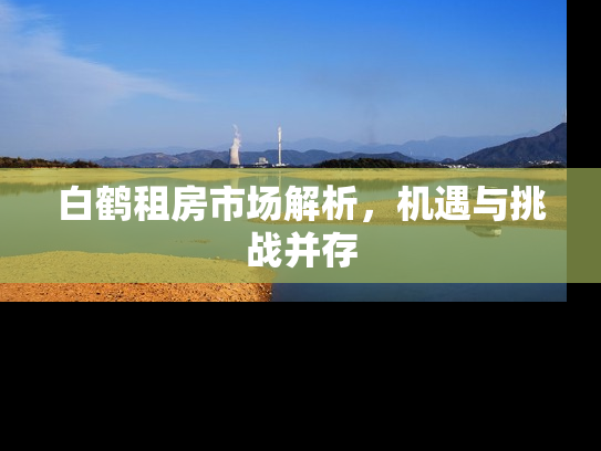 白鹤租房市场解析，机遇与挑战并存