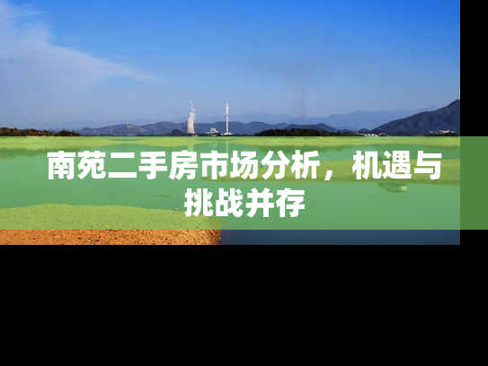南苑二手房市场分析，机遇与挑战并存