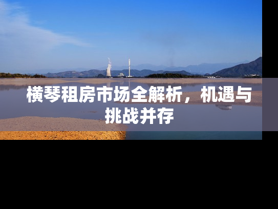 横琴租房市场全解析，机遇与挑战并存