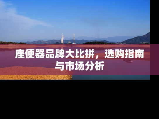 座便器品牌大比拼，选购指南与市场分析
