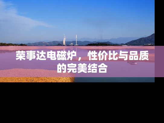 荣事达电磁炉，性价比与品质的完美结合
