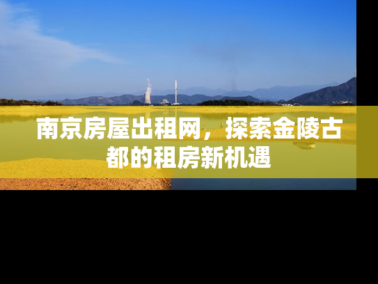 南京房屋出租网，探索金陵古都的租房新机遇