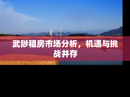 武陟租房市场分析，机遇与挑战并存