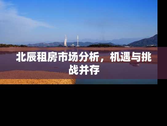 北辰租房市场分析，机遇与挑战并存