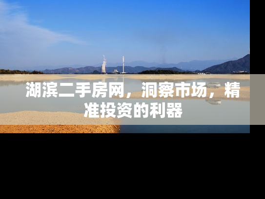 湖滨二手房网，洞察市场，精准投资的利器