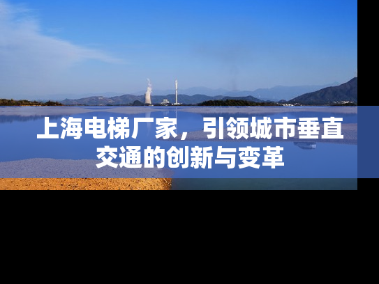 上海电梯厂家，引领城市垂直交通的创新与变革