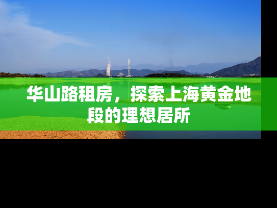华山路租房，探索上海黄金地段的理想居所
