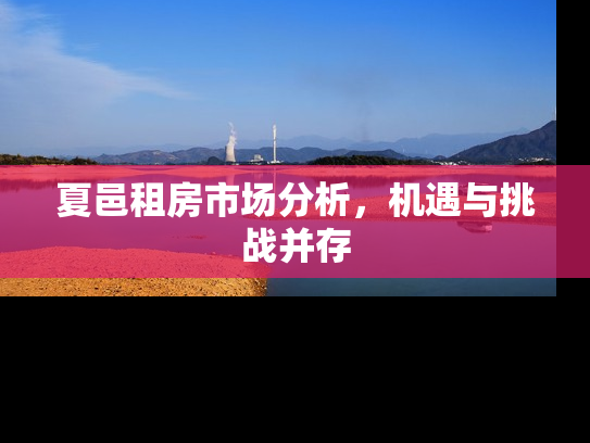 夏邑租房市场分析，机遇与挑战并存