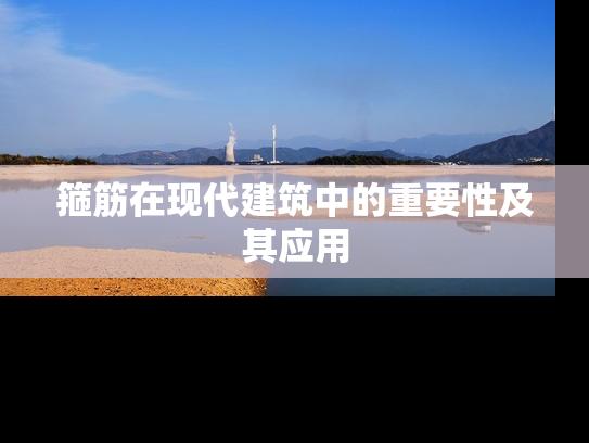 箍筋在现代建筑中的重要性及其应用