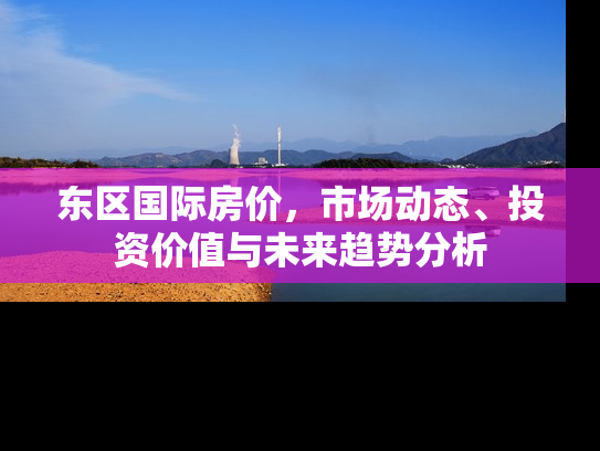 东区国际房价，市场动态、投资价值与未来趋势分析