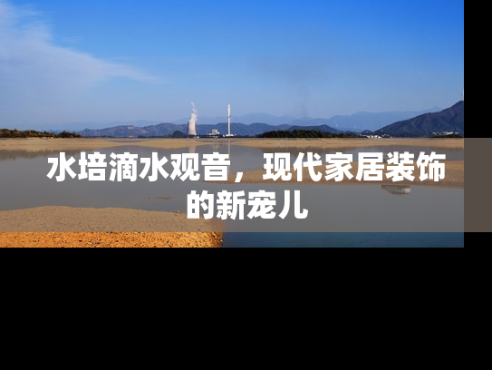 水培滴水观音，现代家居装饰的新宠儿