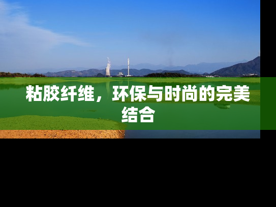 粘胶纤维，环保与时尚的完美结合