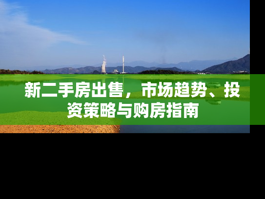 新二手房出售，市场趋势、投资策略与购房指南