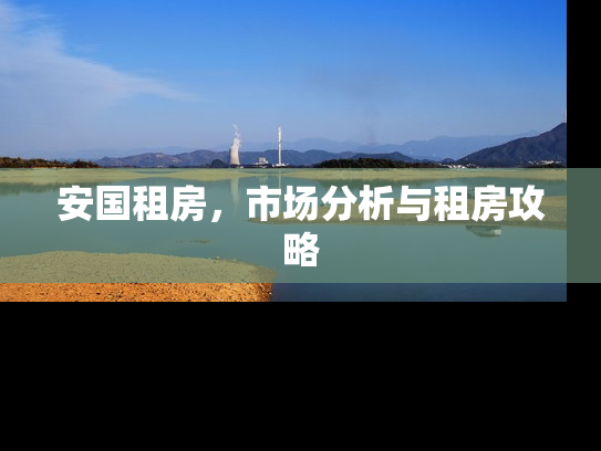 安国租房，市场分析与租房攻略