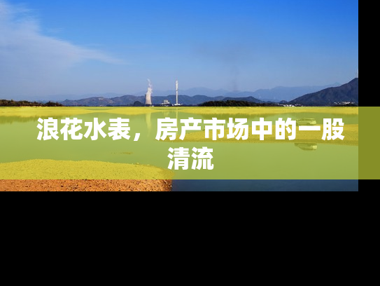 浪花水表，房产市场中的一股清流