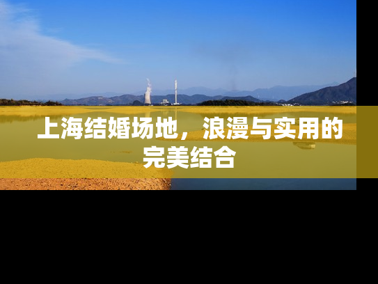 上海结婚场地，浪漫与实用的完美结合