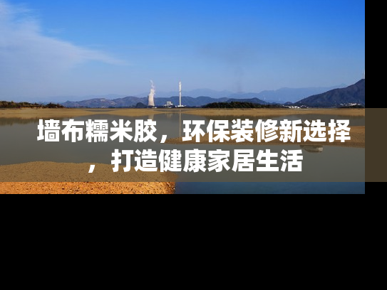 墙布糯米胶，环保装修新选择，打造健康家居生活