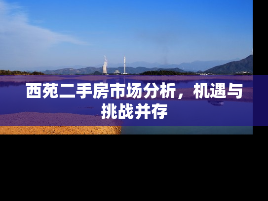 西苑二手房市场分析，机遇与挑战并存