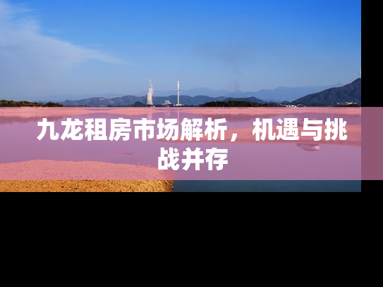 九龙租房市场解析，机遇与挑战并存