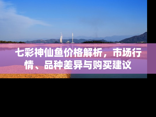 七彩神仙鱼价格解析，市场行情、品种差异与购买建议
