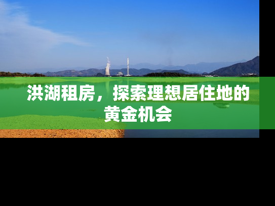 洪湖租房，探索理想居住地的黄金机会