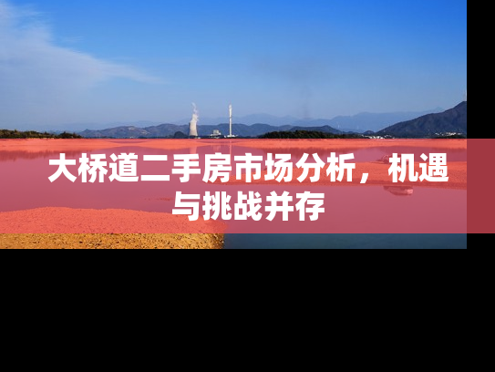 大桥道二手房市场分析，机遇与挑战并存