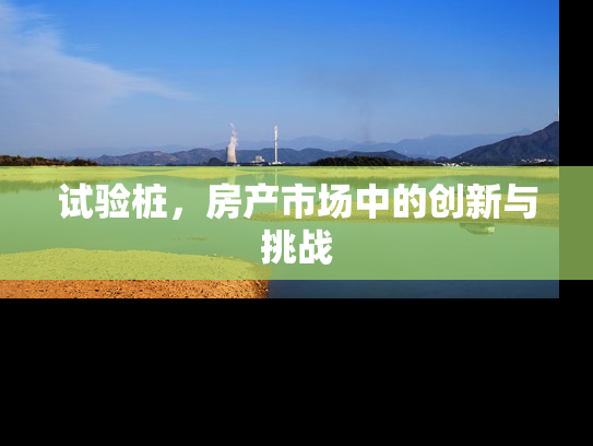 试验桩，房产市场中的创新与挑战