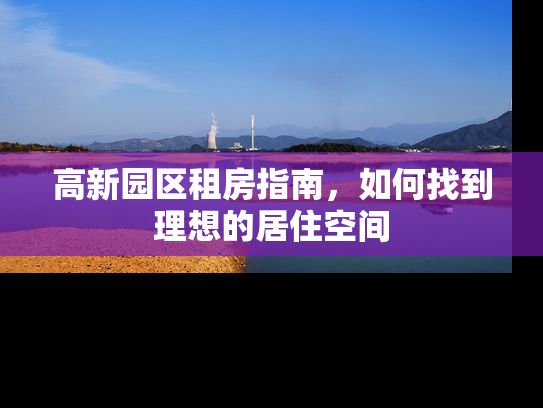 高新园区租房指南，如何找到理想的居住空间