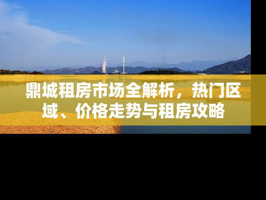 鼎城租房市场全解析，热门区域、价格走势与租房攻略