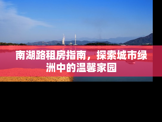 南湖路租房指南，探索城市绿洲中的温馨家园