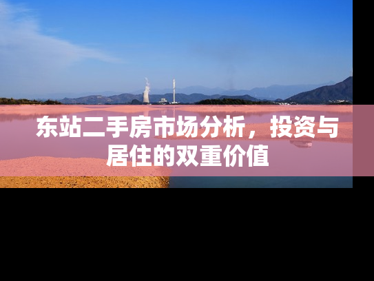 东站二手房市场分析，投资与居住的双重价值