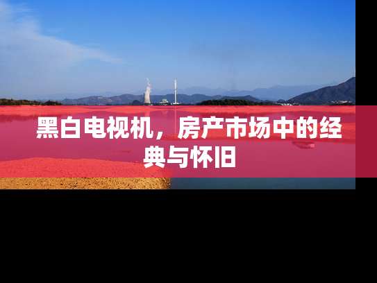 黑白电视机，房产市场中的经典与怀旧