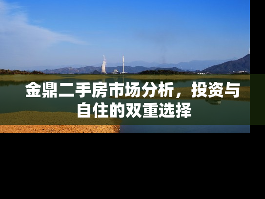 金鼎二手房市场分析，投资与自住的双重选择