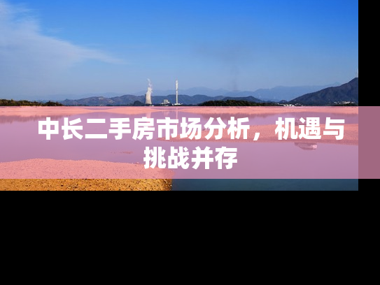 中长二手房市场分析，机遇与挑战并存