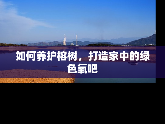 如何养护榕树，打造家中的绿色氧吧