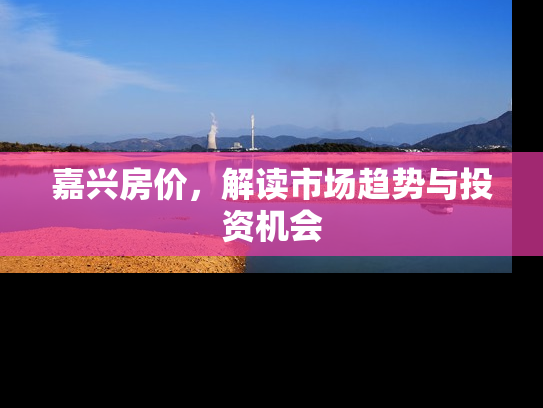 嘉兴房价，解读市场趋势与投资机会