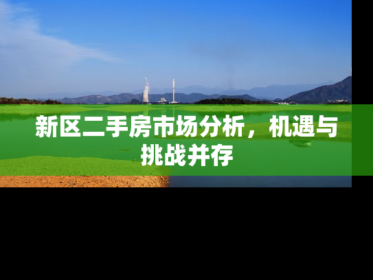 新区二手房市场分析，机遇与挑战并存