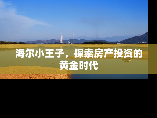 海尔小王子，探索房产投资的黄金时代