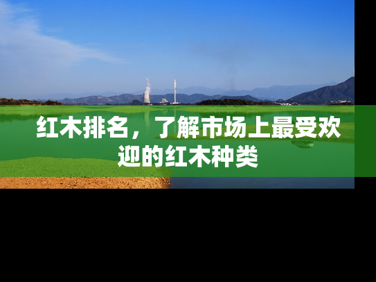 红木排名，了解市场上最受欢迎的红木种类